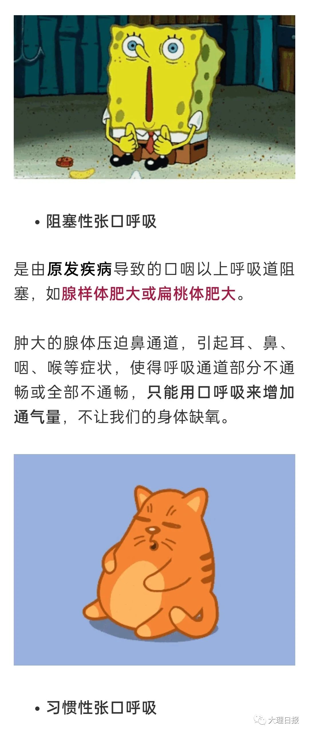 大理日报(微信)
