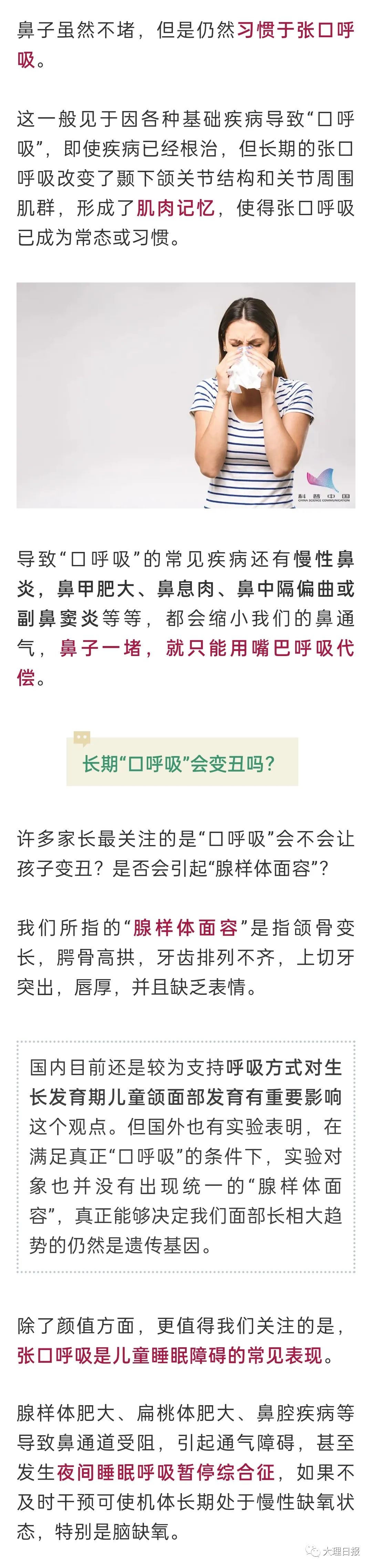 大理日报(微信)