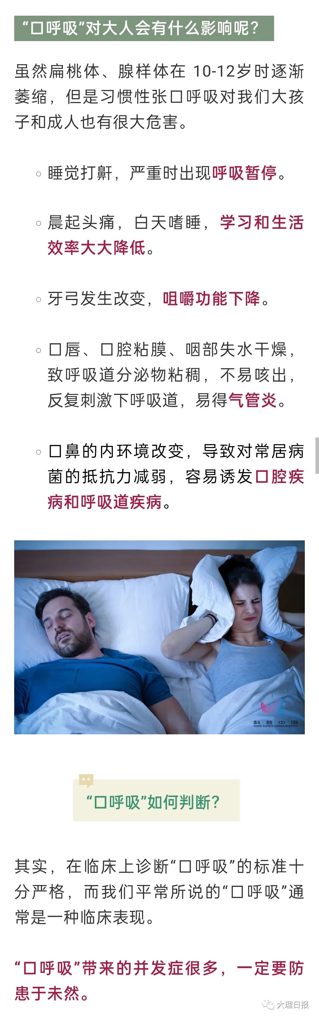 大理日报(微信)