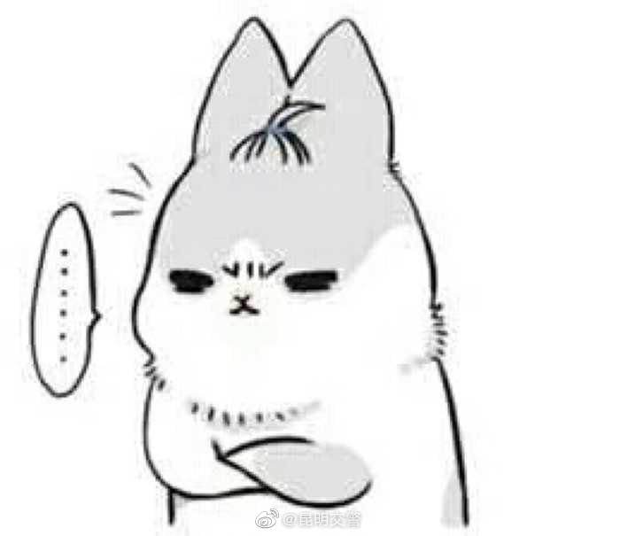 昆明交警微博