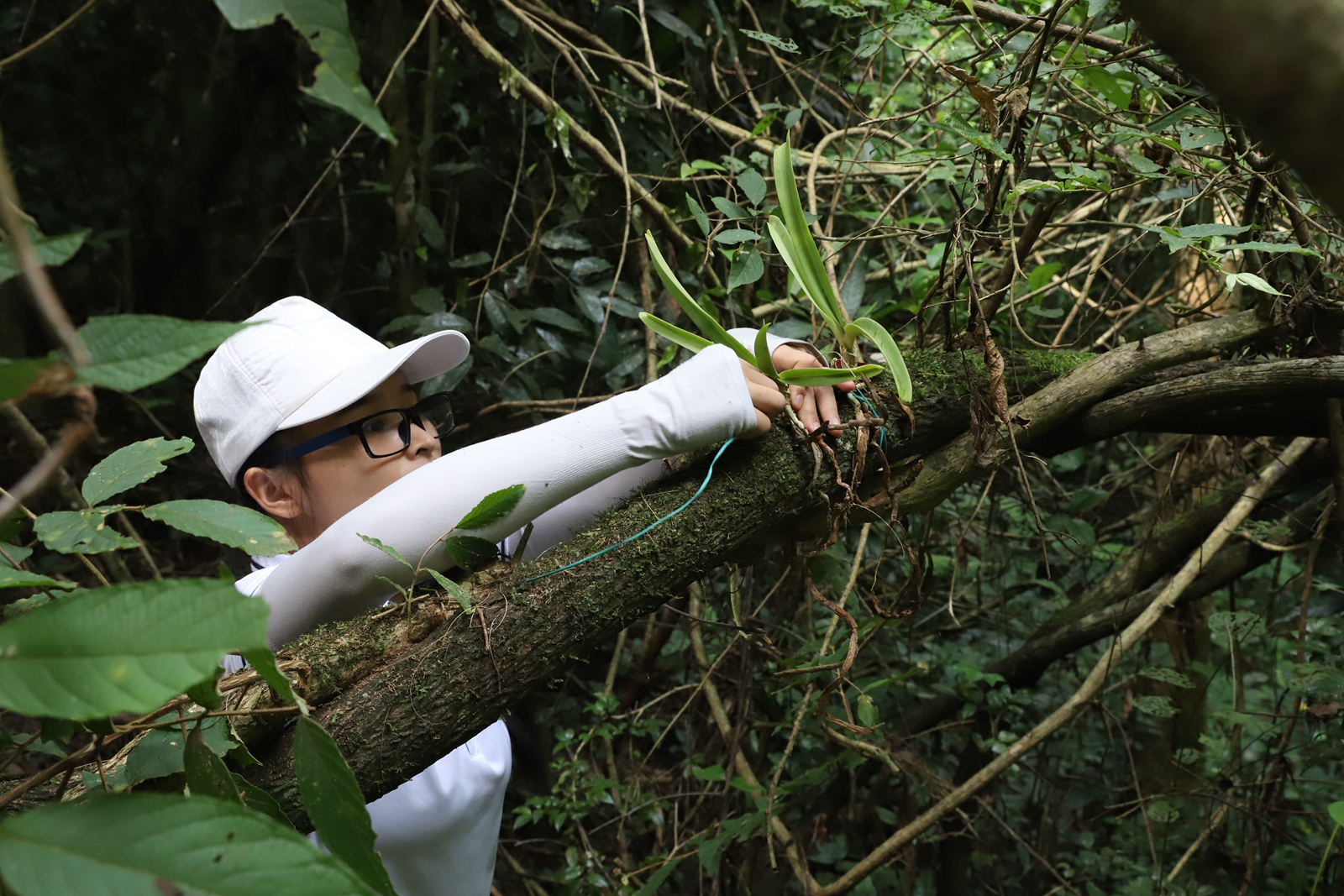 中国科学院西双版纳热带植物园