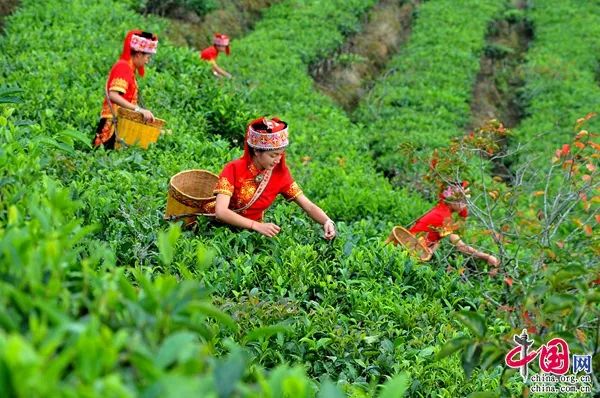 红河文旅(微信)