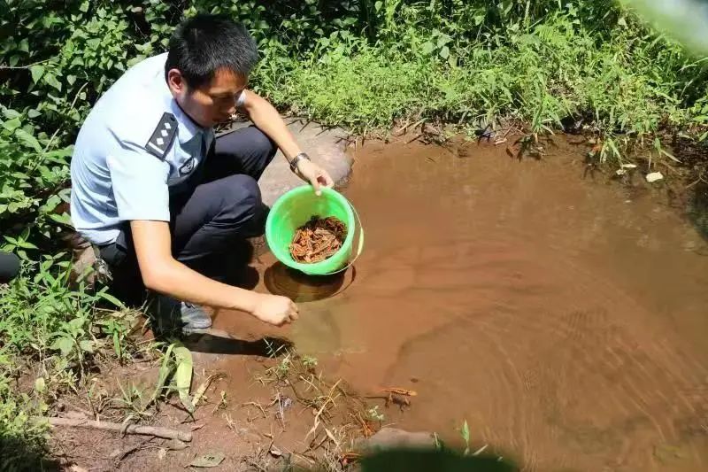 云南政法(微信)
