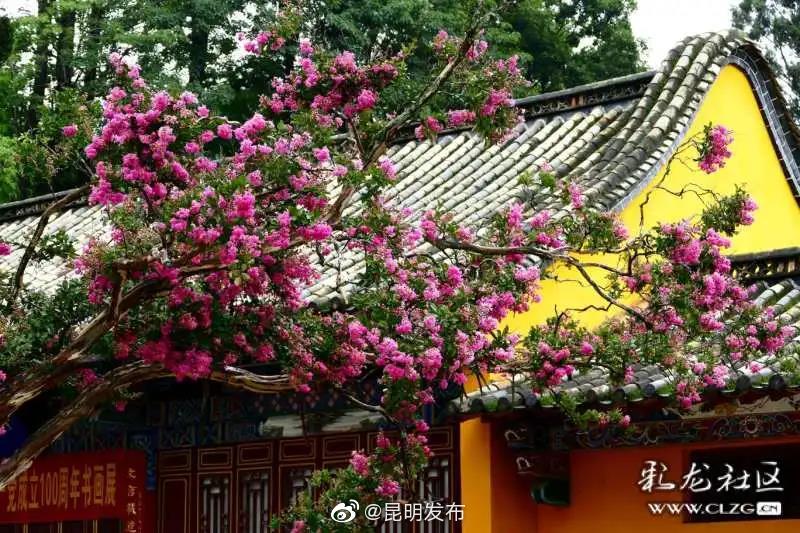 “昆明发布”微博