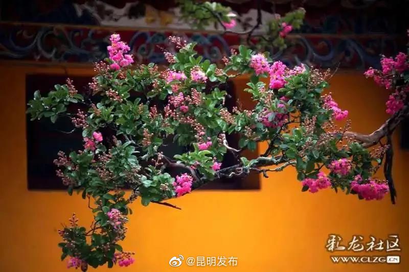 “昆明发布”微博