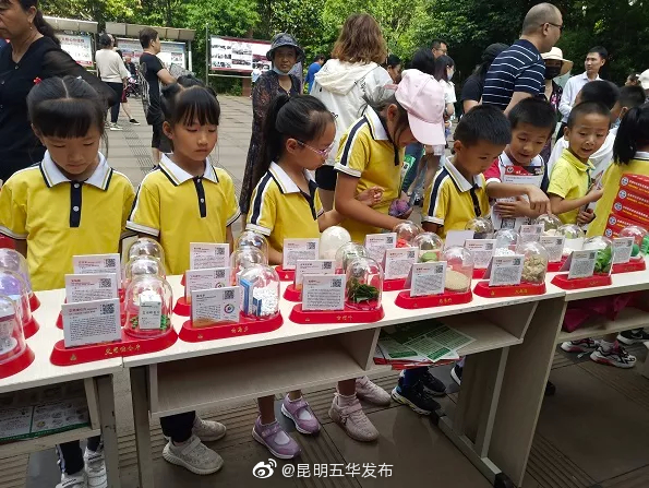 “昆明五华发布”微博