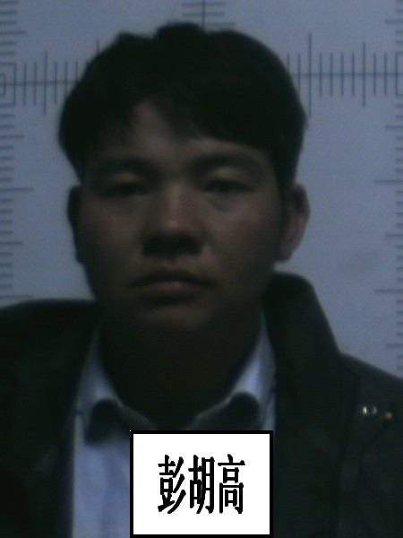 春城晚报(微信)