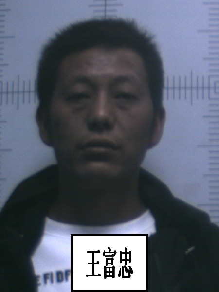 春城晚报(微信)