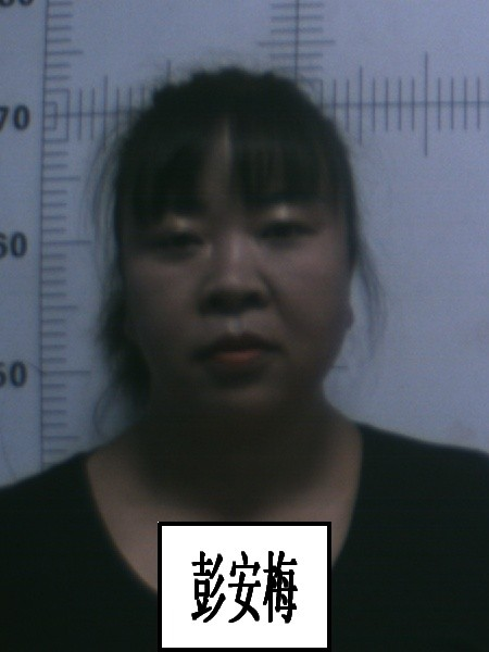 春城晚报(微信)