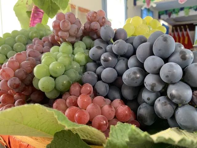 昆明市农业农村局