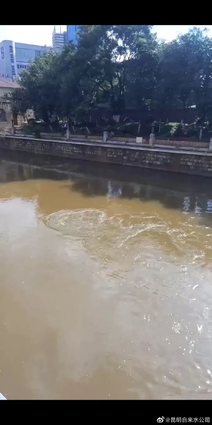 春城晚报(微信)