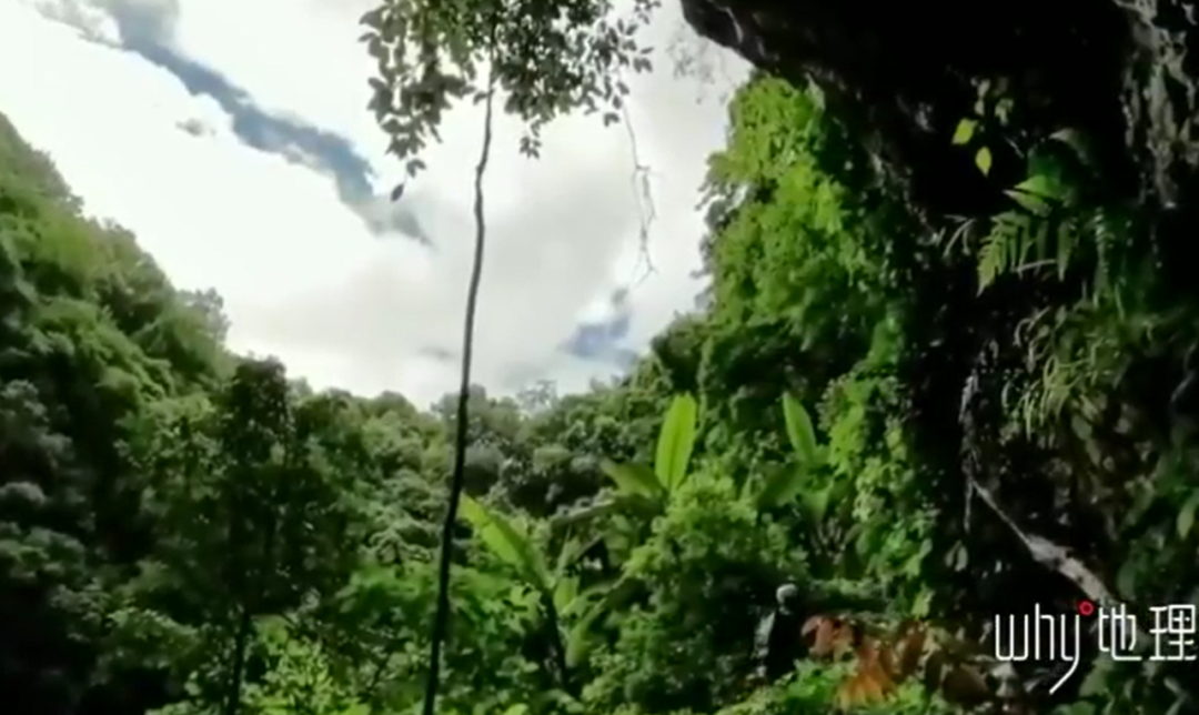 春城晚报(微信)