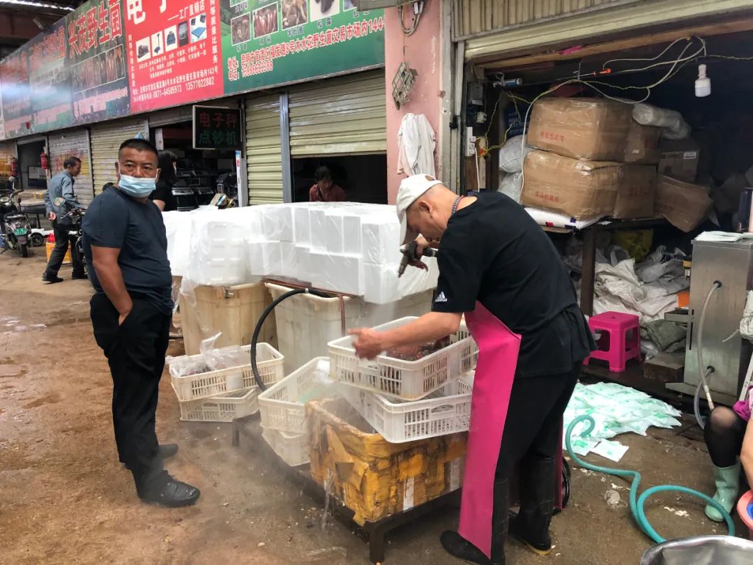 掌上春城(微信)