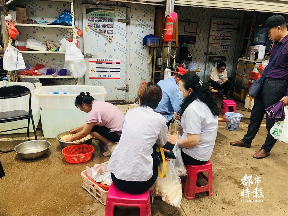 掌上春城(微信)