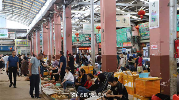 昆明信息港微博