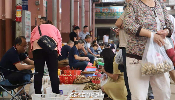 昆明信息港微博