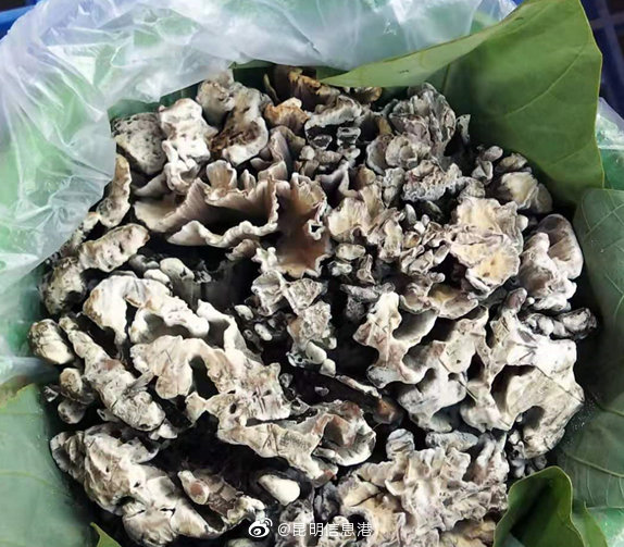 昆明信息港微博