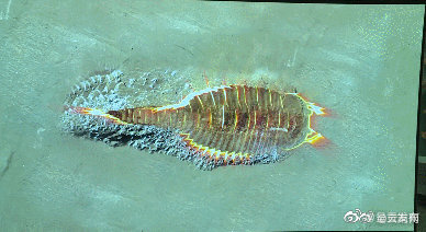 “呈贡发布”微博