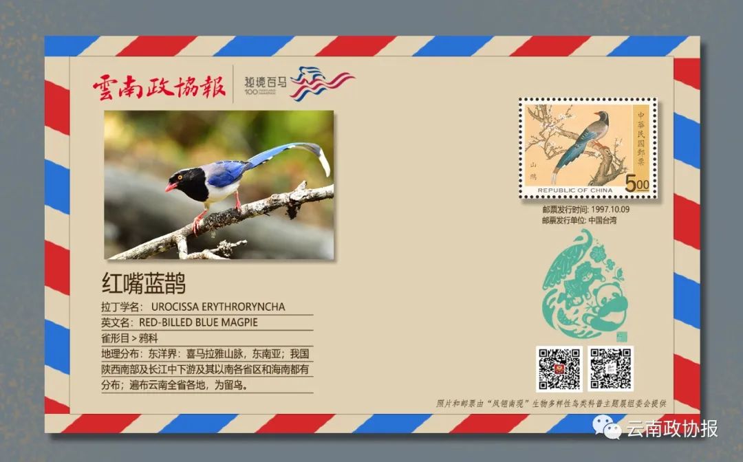 云南政协报(微信)