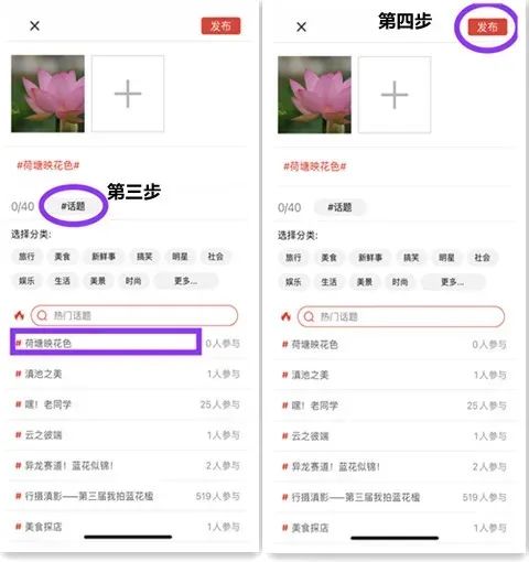 春城晚报(微信)