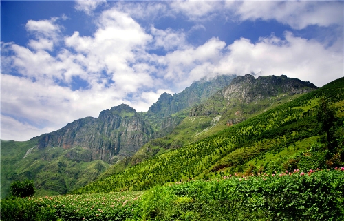 昆明市文化和旅游局