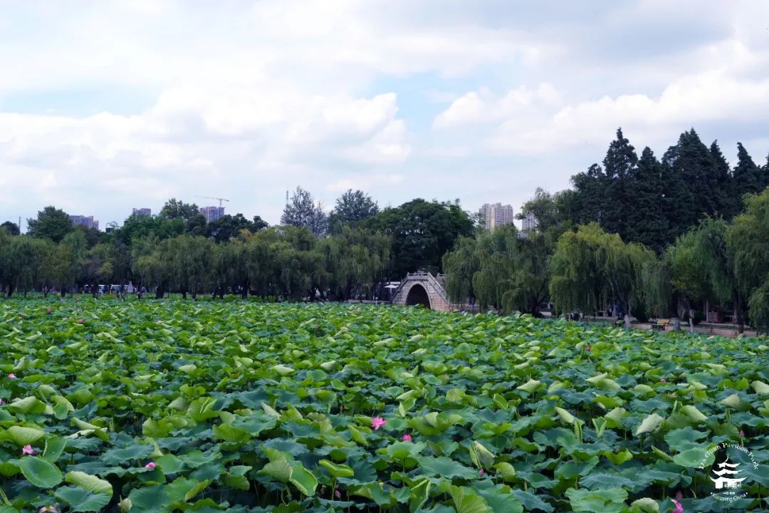 大观楼