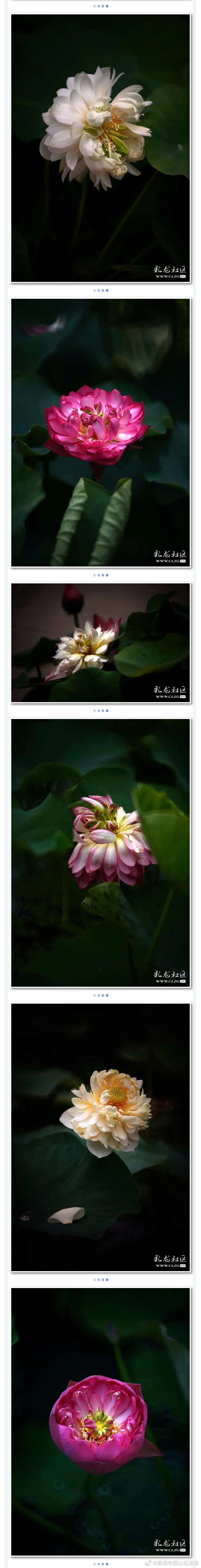 “昆明市西山区发布”微博