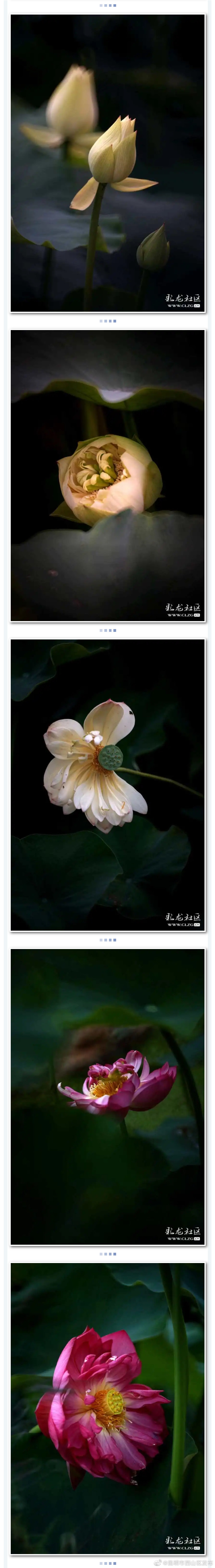 “昆明市西山区发布”微博