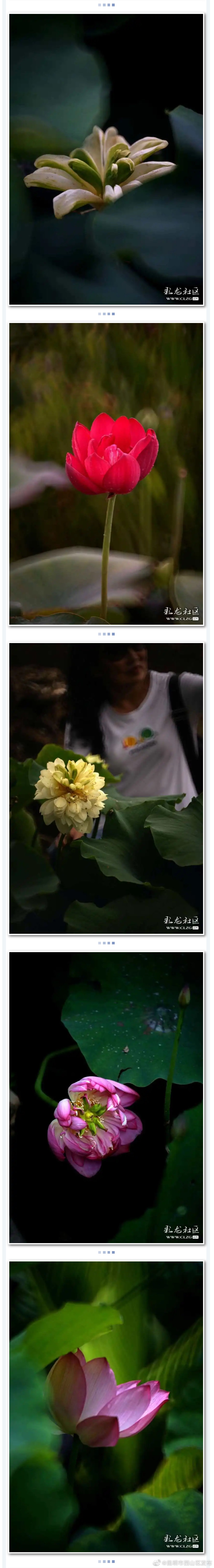 “昆明市西山区发布”微博