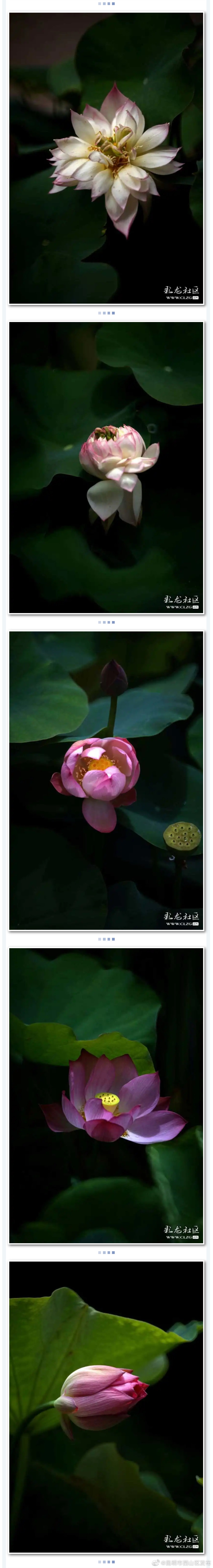 “昆明市西山区发布”微博