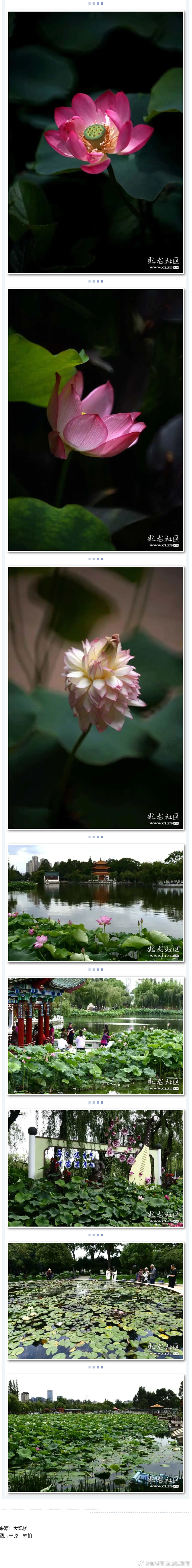 “昆明市西山区发布”微博