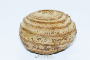 昆明信息港微博