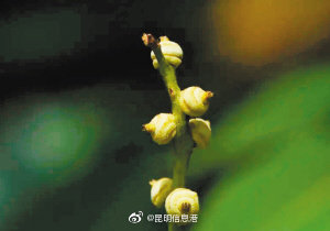 昆明信息港微博