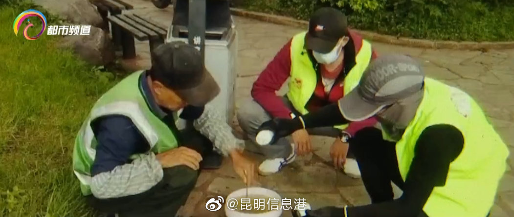 昆明信息港微博