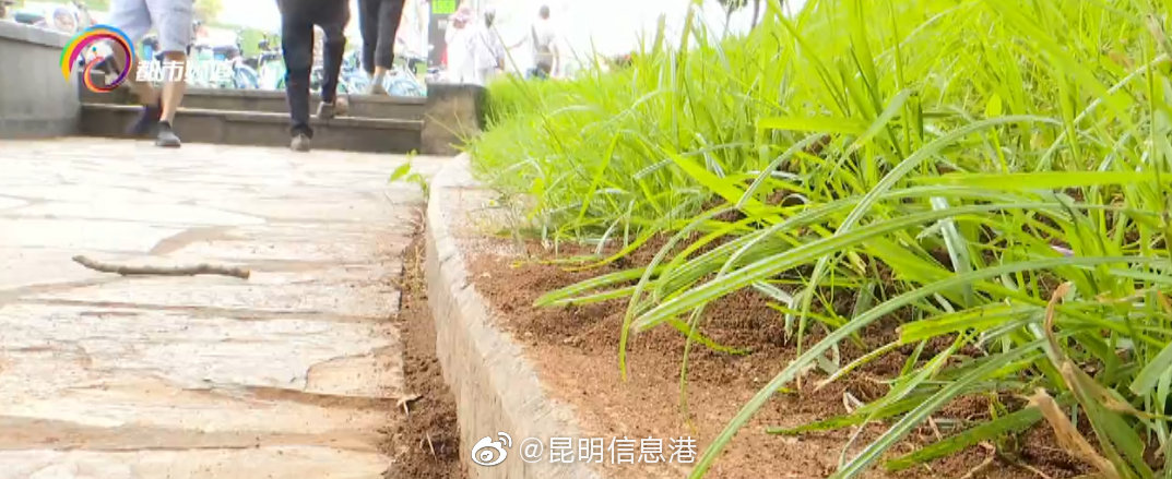 昆明信息港微博