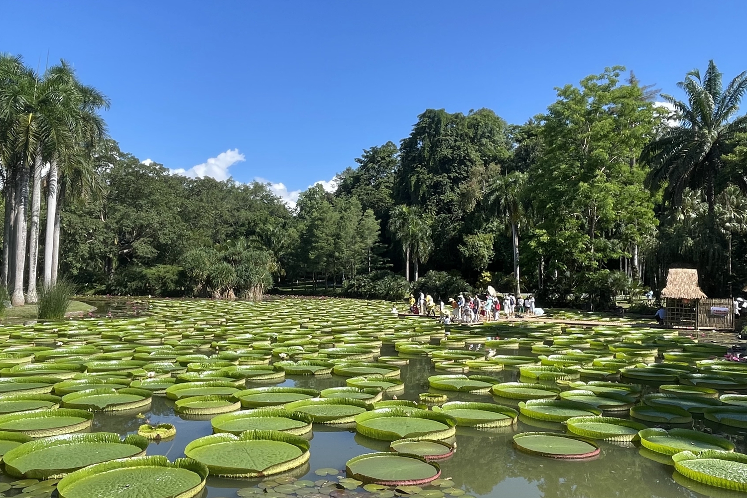 中国科学院西双版纳热带植物园