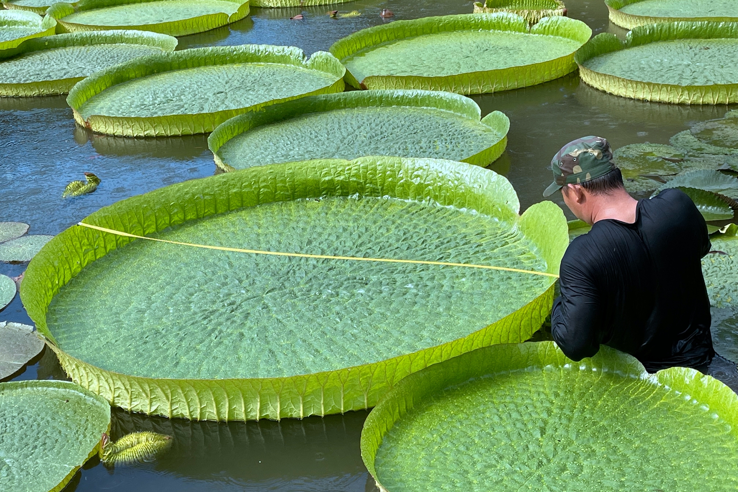 中国科学院西双版纳热带植物园