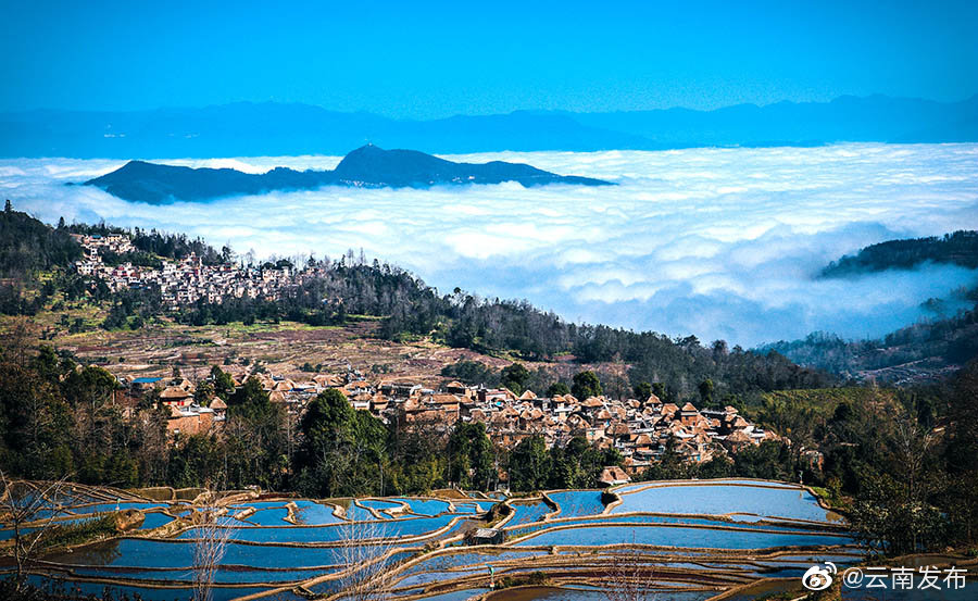 云南省空气质量预报