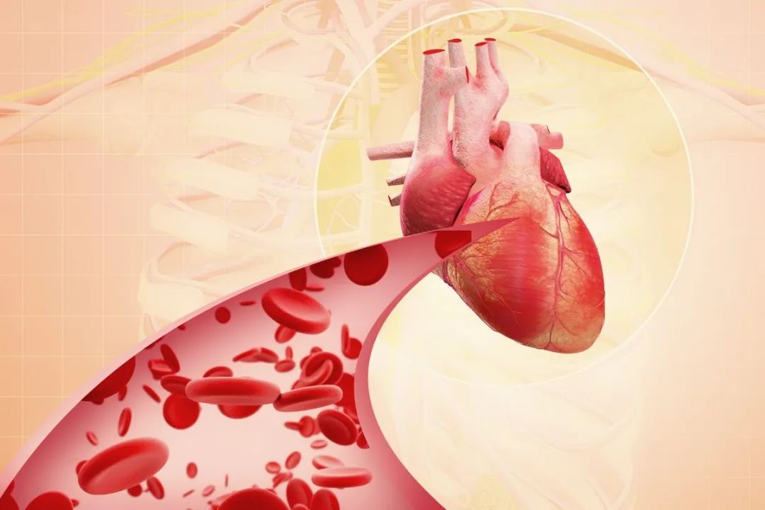 云南疾控(微信)