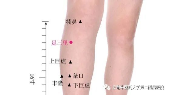 云南中医药大学第二附属医院(微信)