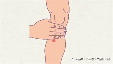 云南中医药大学第二附属医院(微信)