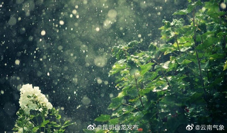 云南省未来24小时天气预报