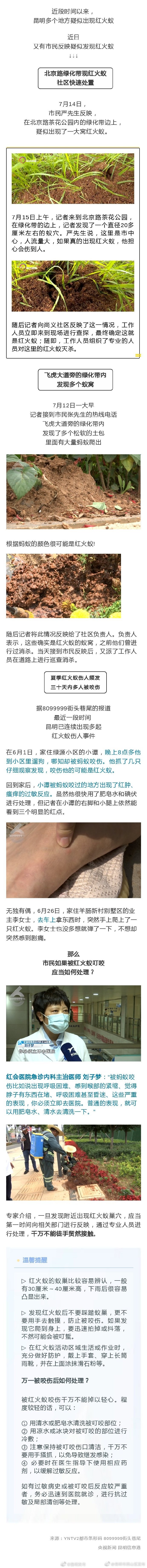警惕！昆明多地有疑似红火蚁出没！已有市民被咬伤