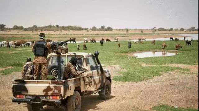 春城晚报(微信)