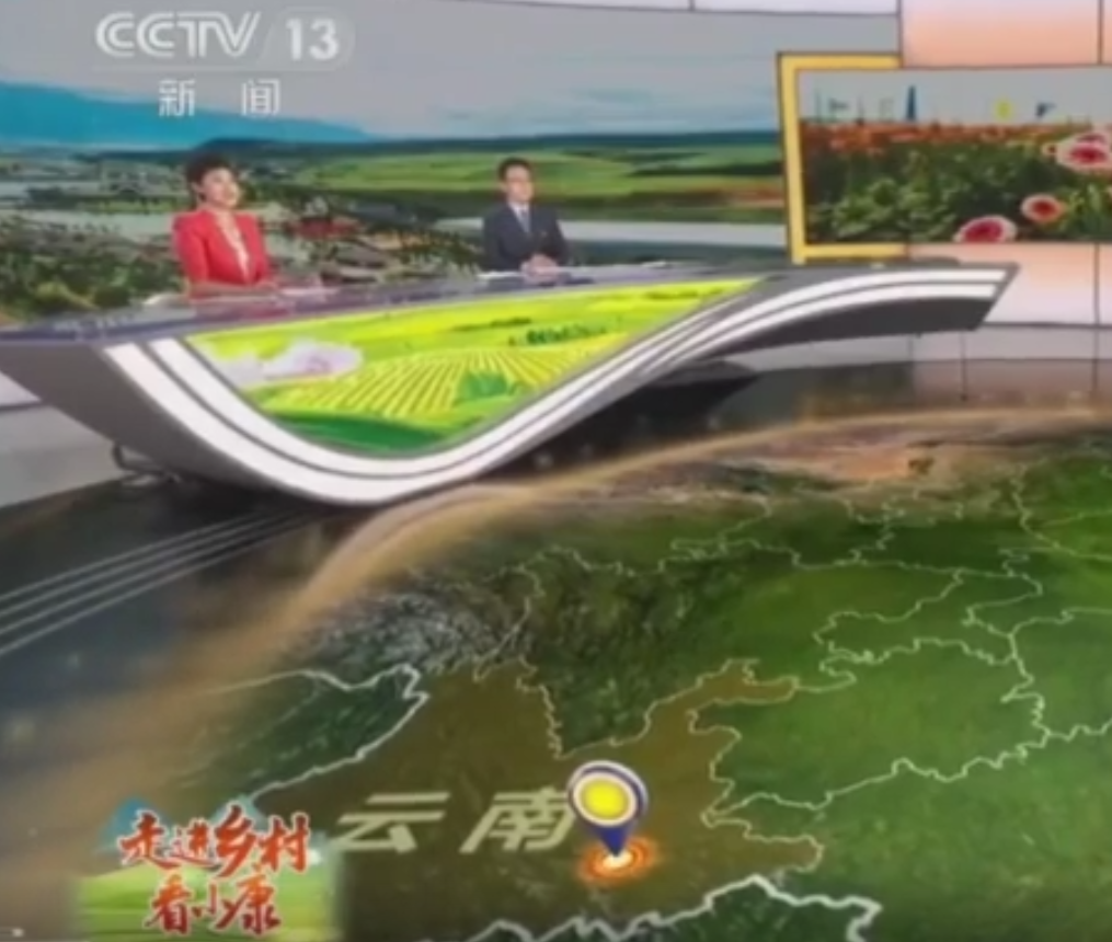 春城晚报(微信)