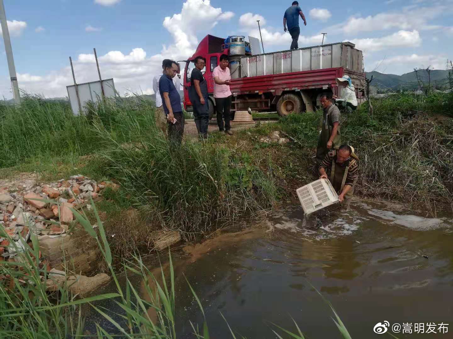 县农业农村局深入田间指导水稻综合种养工作