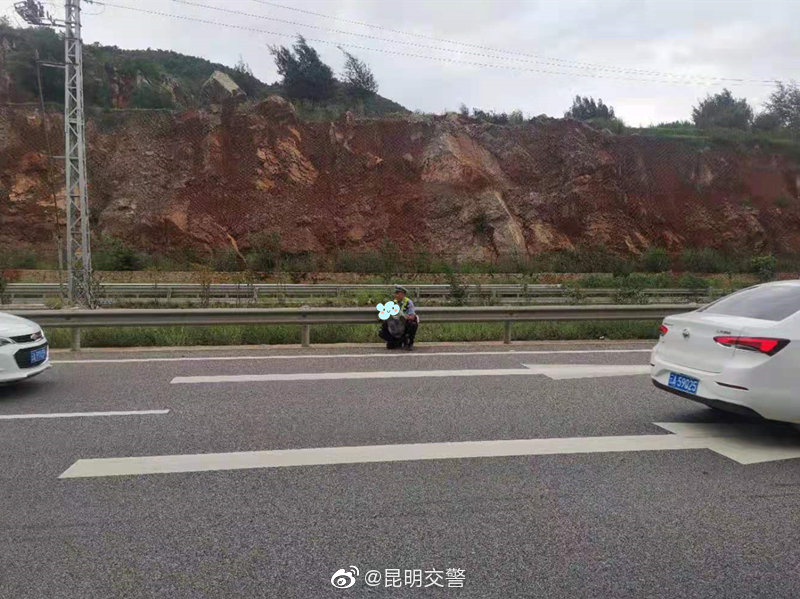 昆明交警微博