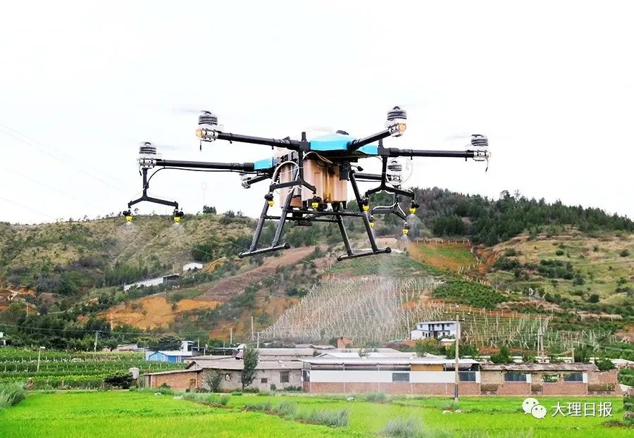 大理日报(微信)