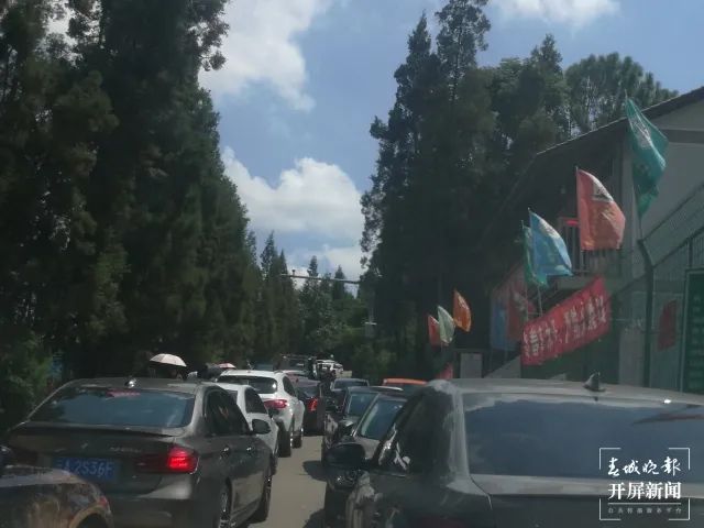 掌上春城(微信)