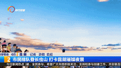 掌上春城(微信)